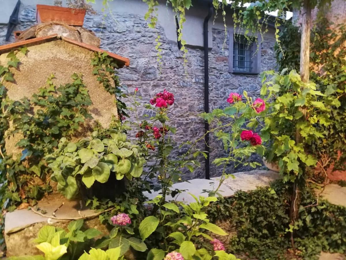 Casale Maria Mafalda Pieve di Teco エクステリア 写真